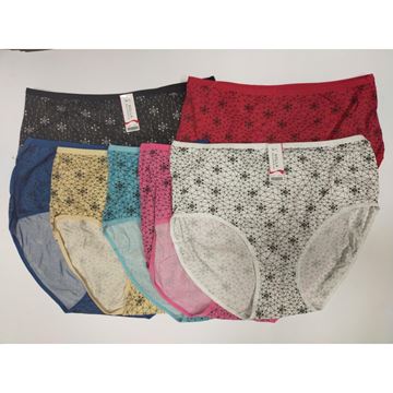 Picture of PLUS SIZE HIGH WAISTED WOMEN PANTIES